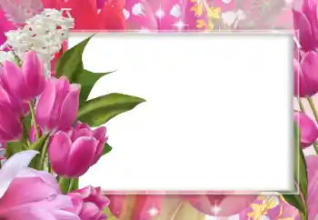 Foto-effetti della categoria Cornici da donna № 102643