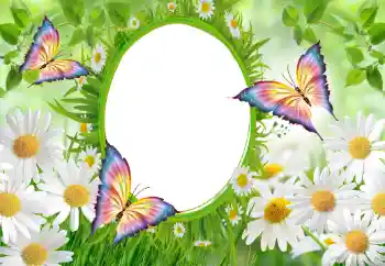 Foto-effetti della categoria Cornici da donna № 102747