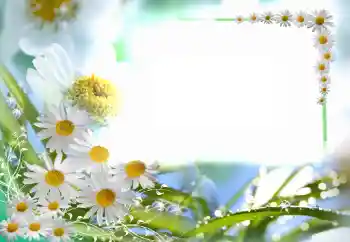 Foto-effetti della categoria Cornici da donna № 102749