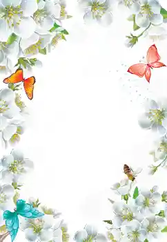 Foto-effetti della categoria Cornici da donna № 103777