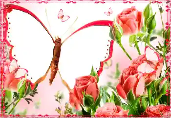 Foto-effetti della categoria Cornici da donna № 103883