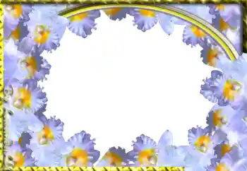 Foto-effetti della categoria Cornici da donna № 103943