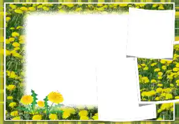 Foto-effetti della categoria Cornici da donna № 103949