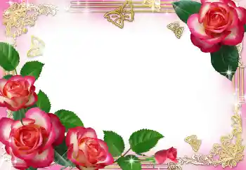 Foto-effetti della categoria Cornici da donna № 104029