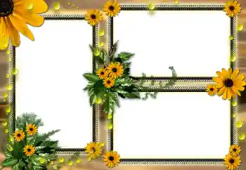 Foto-effetti della categoria Cornici da donna № 104030