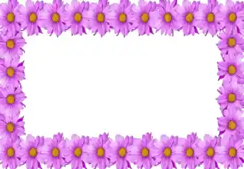 Foto-effetti della categoria Cornici da donna № 105414