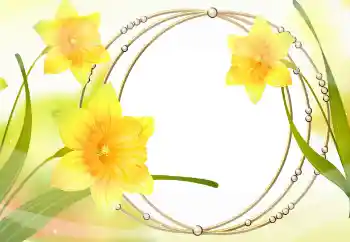 Foto-effetti della categoria Cornici da donna № 105478