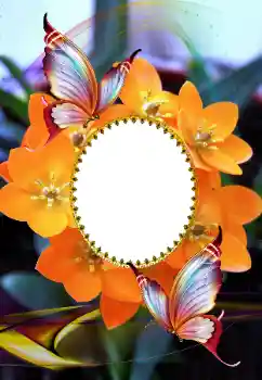 Foto-effetti della categoria Cornici da donna № 105575