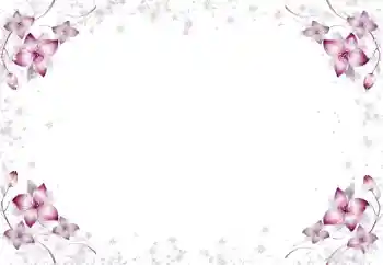 Foto-effetti della categoria Cornici da donna № 105650