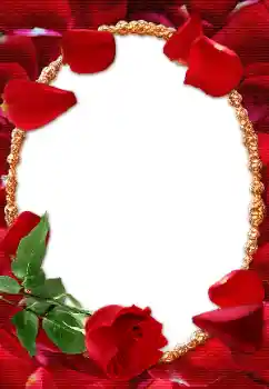 Foto-effetti della categoria Cornici da donna № 10938 Foto-effetti della categoria Cornici da donna № 10938