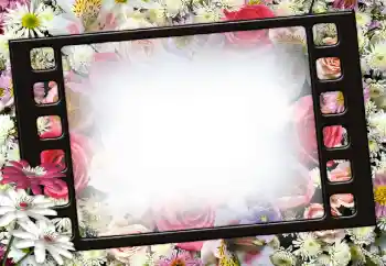 Foto-effetti della categoria Cornici da donna № 111956