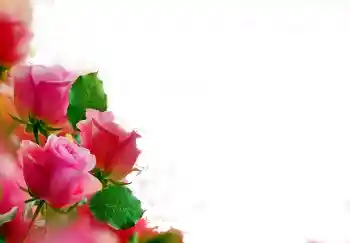 Foto-effetti della categoria Cornici da donna № 112139