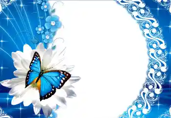 Foto-effetti della categoria Cornici da donna № 112249