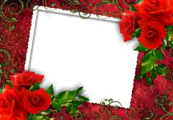 Foto-effetti della categoria Cornici da donna № 112252