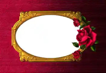 Foto-effetti della categoria Cornici da donna № 112254