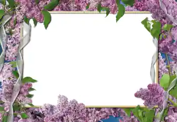 Foto-effetti della categoria Cornici da donna № 112261