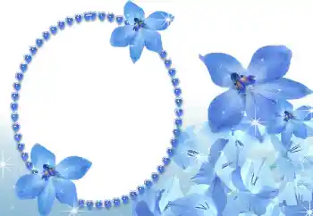 Foto-effetti della categoria Cornici da donna № 112332