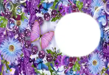 Foto-effetti della categoria Cornici da donna № 112431