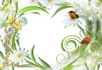 Foto-effetti della categoria Cornici da donna № 112507