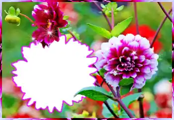 Foto-effetti della categoria Cornici da donna № 112519