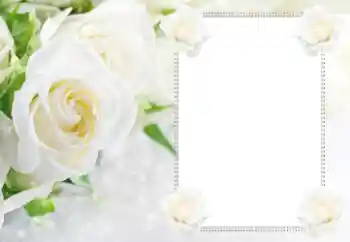 Foto-effetti della categoria Cornici da donna № 112529