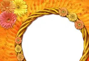 Foto-effetti della categoria Cornici da donna № 112533