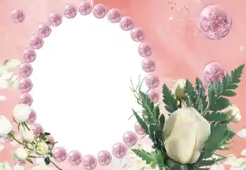 Foto-effetti della categoria Cornici da donna № 112542