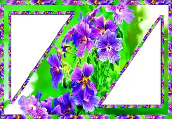 Foto-effetti della categoria Cornici da donna № 112773