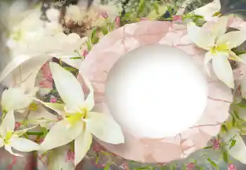 Foto-effetti della categoria Cornici da donna № 114219