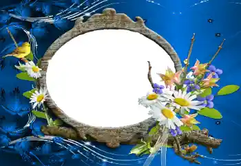 Foto-effetti della categoria Cornici da donna № 114227