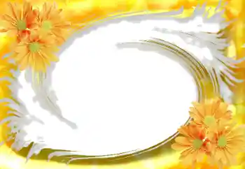 Foto-effetti della categoria Cornici da donna № 114234