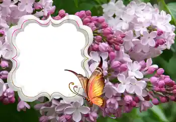 Foto-effetti della categoria Cornici da donna № 114264