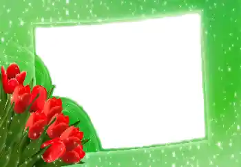 Foto-effetti della categoria Cornici da donna № 114275