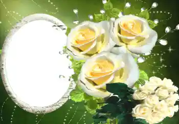 Foto-effetti della categoria Cornici da donna № 114330