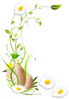 Foto-effetti della categoria Cornici da donna № 114336