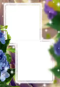 Foto-effetti della categoria Cornici da donna № 116123