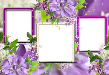 Foto-effetti della categoria Cornici da donna № 116124