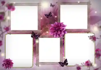 Foto-effetti della categoria Cornici da donna № 116128