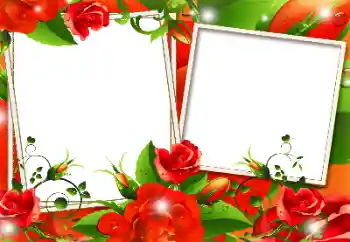 Foto-effetti della categoria Cornici da donna № 117365