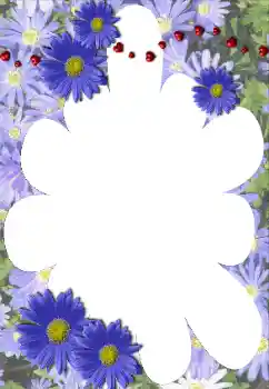 Foto-effetti della categoria Cornici da donna № 117528