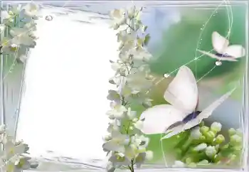 Foto-effetti della categoria Cornici da donna № 11869 Foto-effetti della categoria Cornici da donna № 11869
