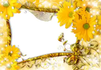 Foto-effetti della categoria Cornici da donna № 118916