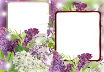 Foto-effetti della categoria Cornici da donna № 121086