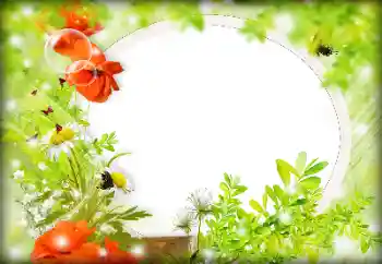 Foto-effetti della categoria Cornici da donna № 121087