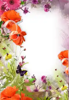 Foto-effetti della categoria Cornici da donna № 121098