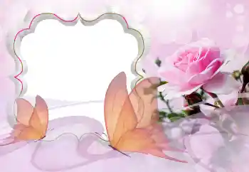 Foto-effetti della categoria Cornici da donna № 121129