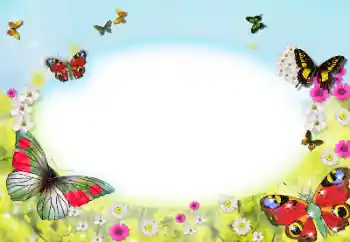 Foto-effetti della categoria Cornici da donna № 123207