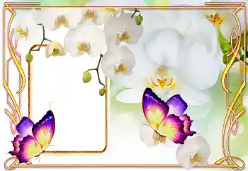 Foto-effetti della categoria Cornici da donna № 123218