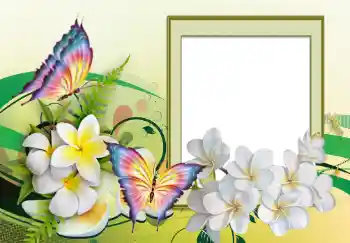 Foto-effetti della categoria Cornici da donna № 123226