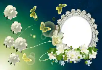 Foto-effetti della categoria Cornici da donna № 123258